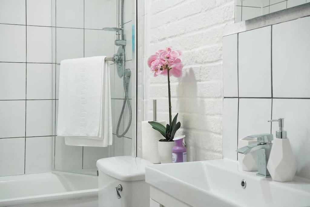2 Bed Garden Flat Sleeps 6 Close To Brixton Apartment London